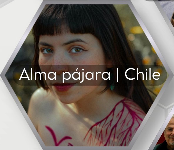 Alma pájara